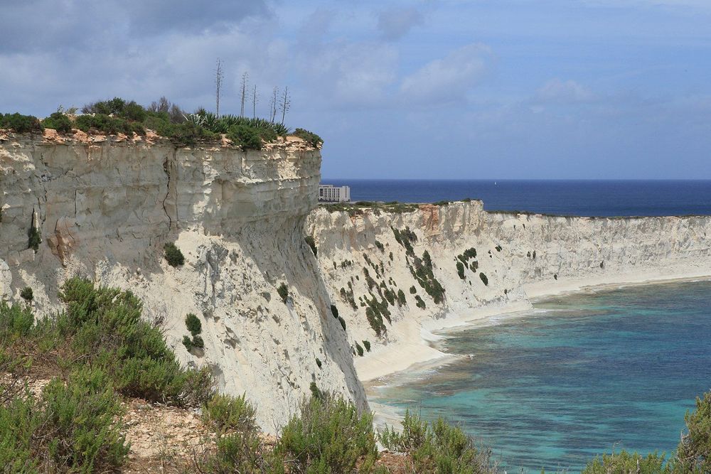 Xrobb l-Għaġin Image